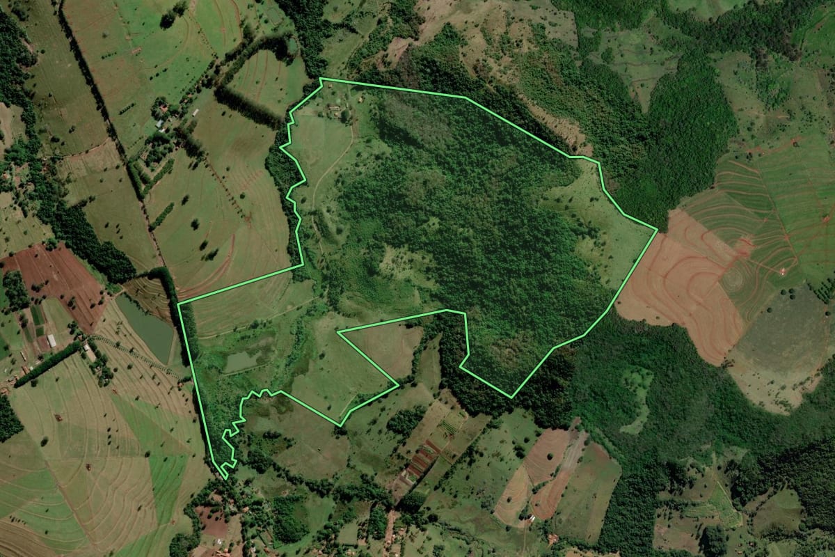 Imagem de satélite do imóvel rural em Avaré (SP), com o contorno declarado no CAR desenhado por cima.