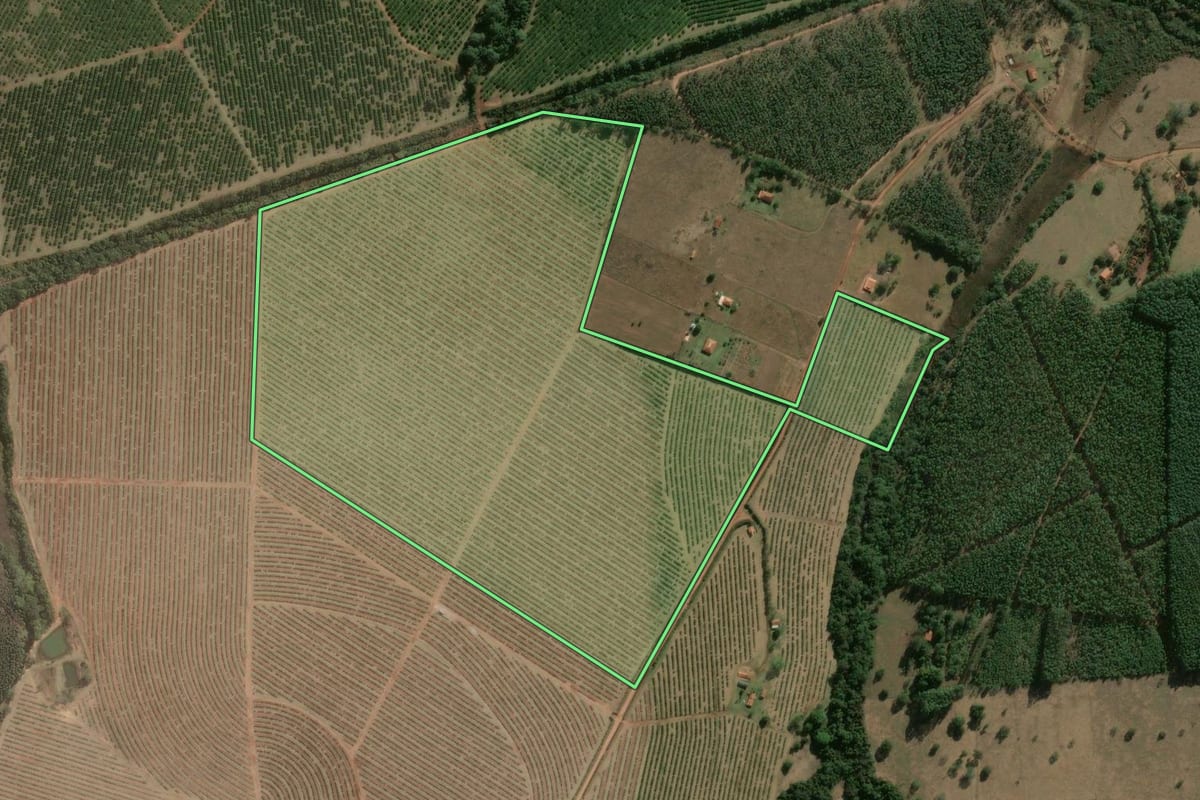Imagem de satélite do imóvel rural em Avaré (SP), com o contorno declarado no CAR desenhado por cima.