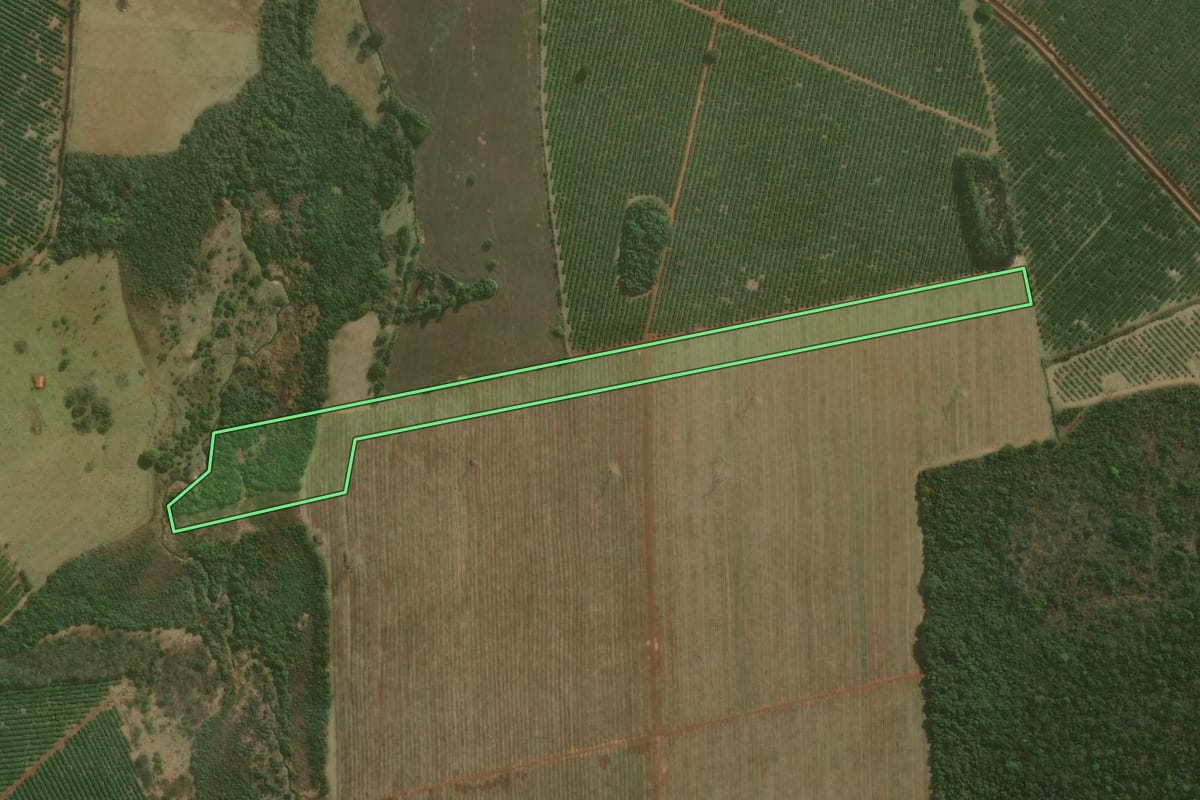 Imagem de satélite do imóvel rural em Avaré (SP), com o contorno declarado no CAR desenhado por cima.