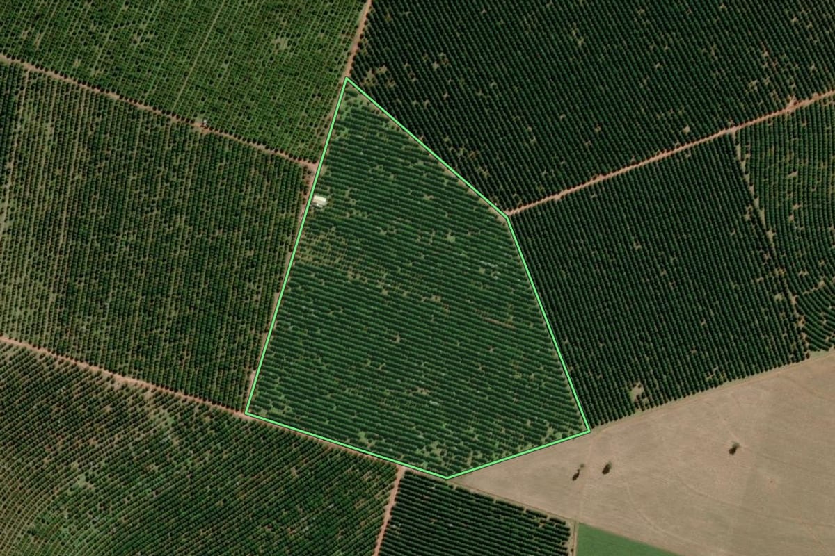 Imagem de satélite do imóvel rural em Avaré (SP), com o contorno declarado no CAR desenhado por cima.