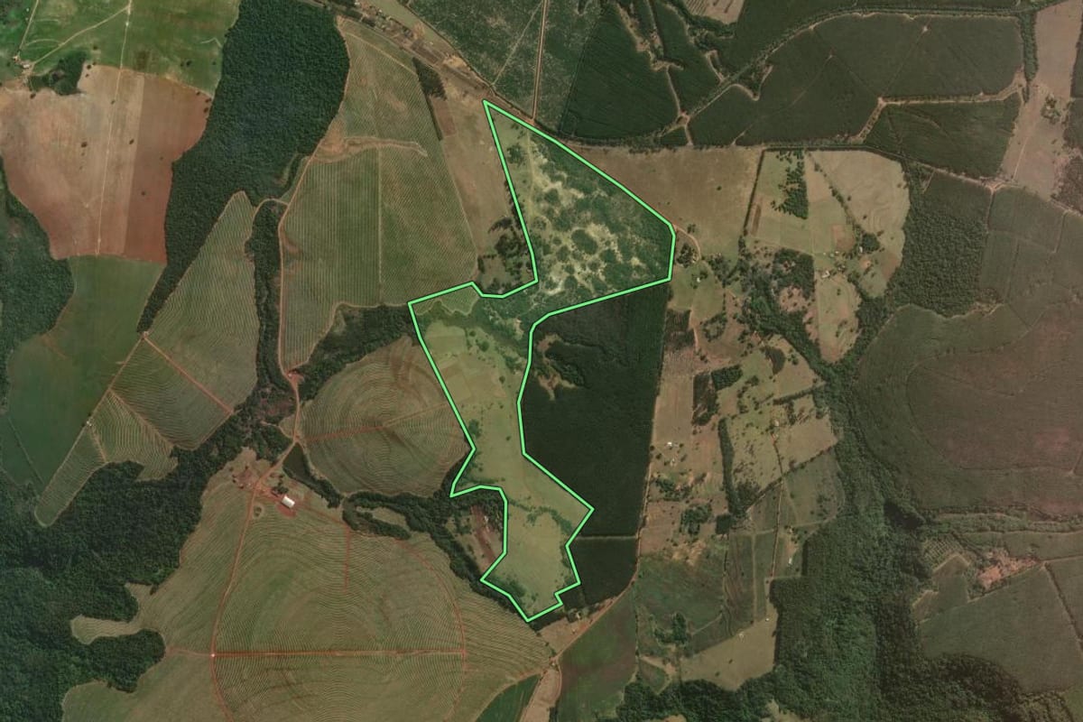 Imagem de satélite do imóvel rural em Avaré (SP), com o contorno declarado no CAR desenhado por cima.