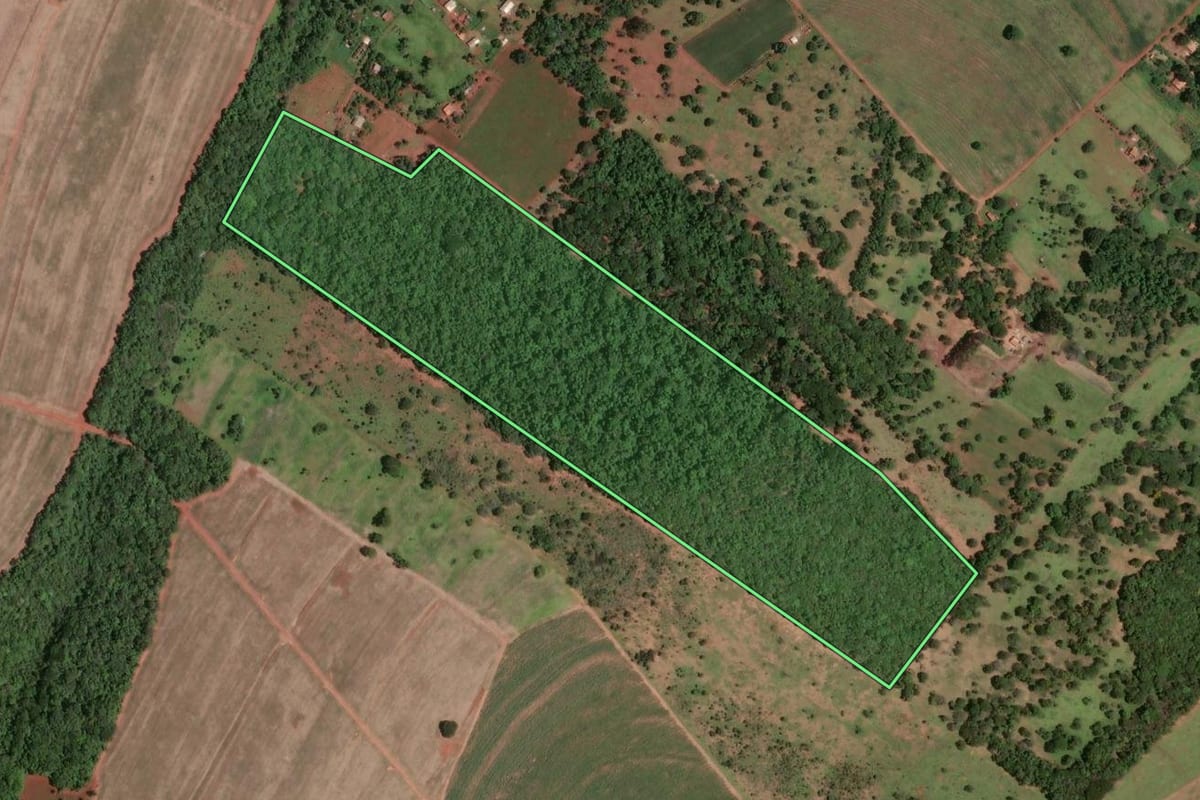 Imagem de satélite do imóvel rural em Avaré (SP), com o contorno declarado no CAR desenhado por cima.