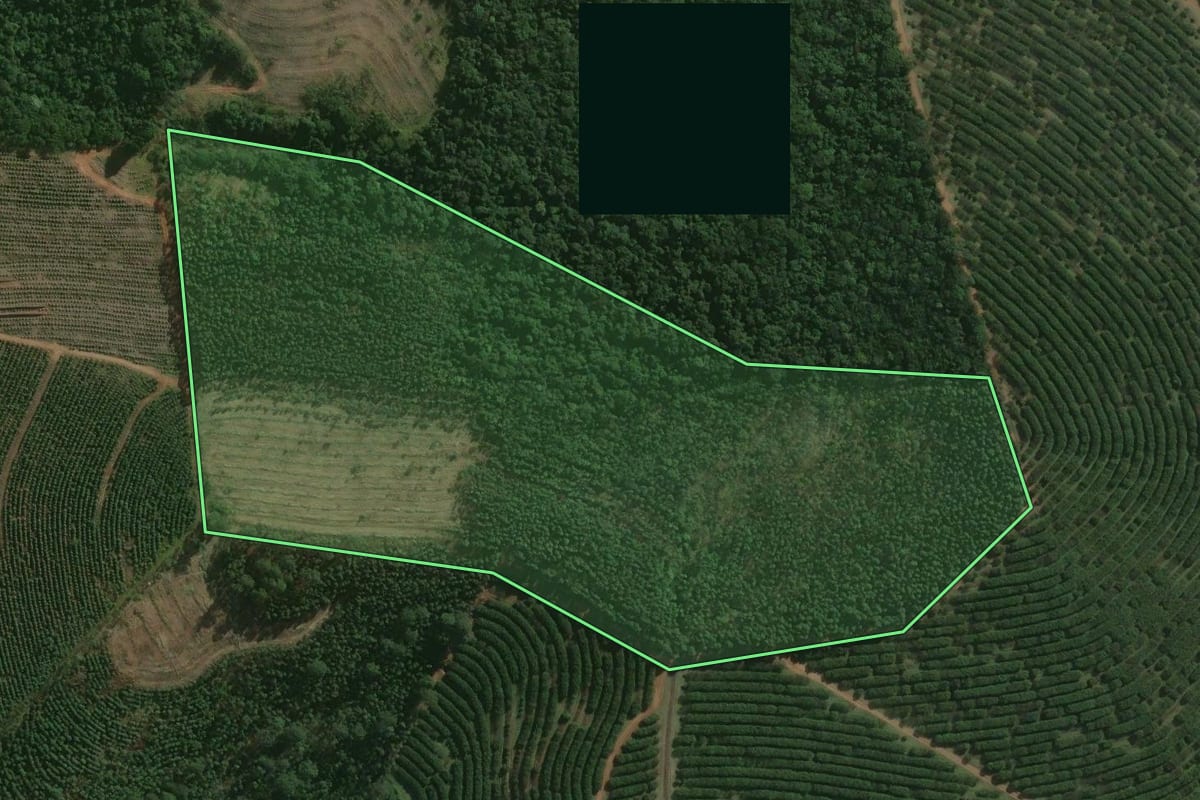 Imagem de satélite do imóvel rural em Avaré (SP), com o contorno declarado no CAR desenhado por cima.