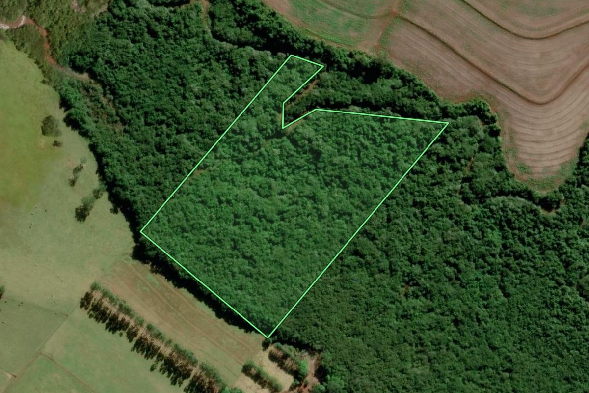 Imagem de satélite do imóvel rural em Avaré (SP), com o contorno declarado no CAR desenhado por cima.