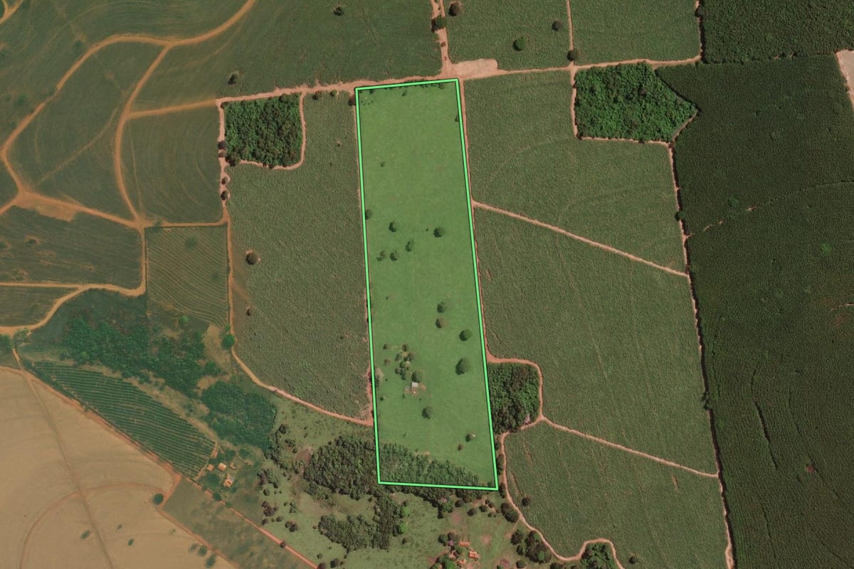 Imagem de satélite do imóvel rural em Bady Bassitt (SP), com o contorno declarado no CAR desenhado por cima.