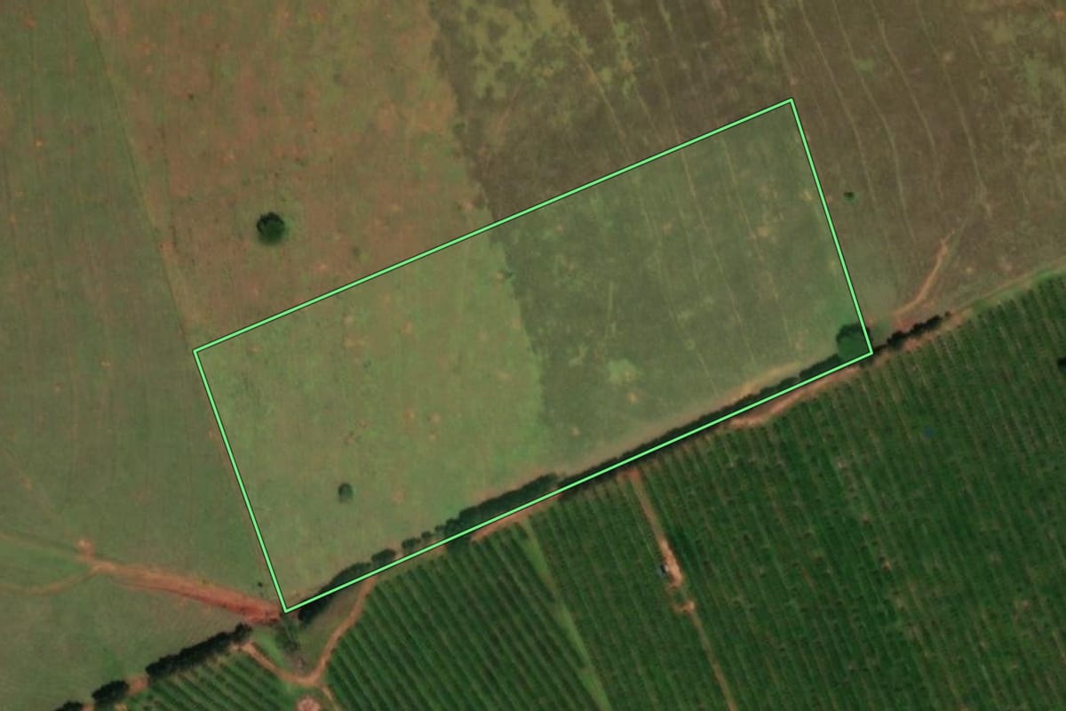 Imagem de satélite do imóvel rural em Balbinos (SP), com o contorno declarado no CAR desenhado por cima.