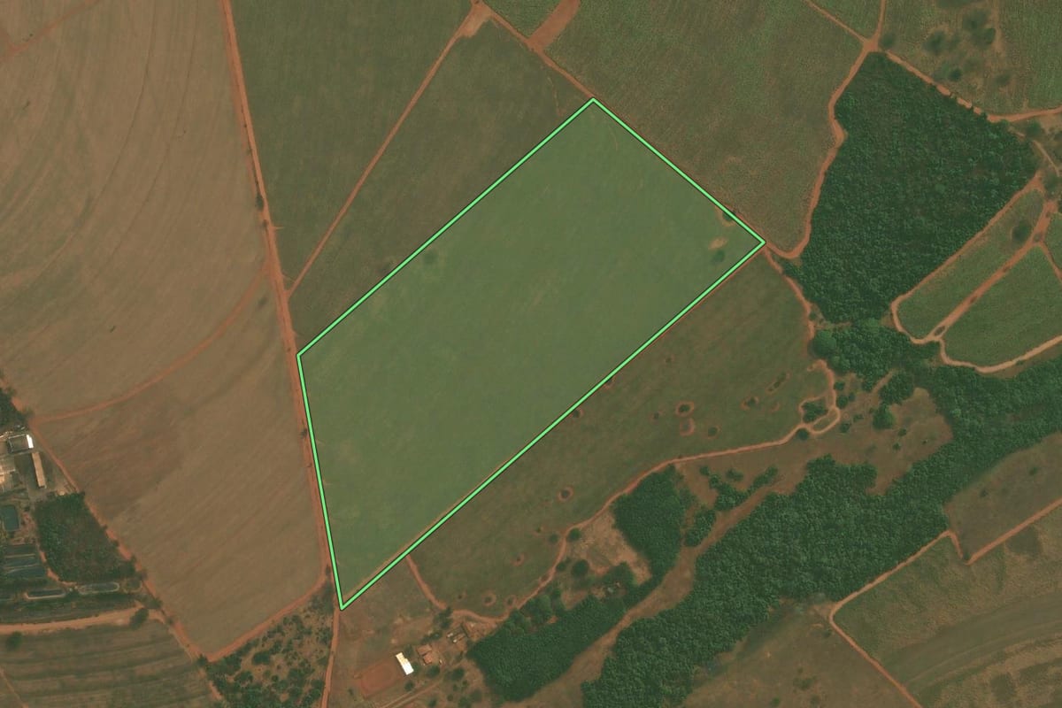 Imagem de satélite do imóvel rural em Bálsamo (SP), com o contorno declarado no CAR desenhado por cima.