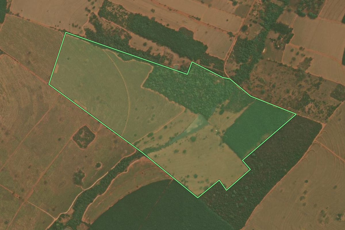 Imagem de satélite do imóvel rural em Bálsamo (SP), com o contorno declarado no CAR desenhado por cima.
