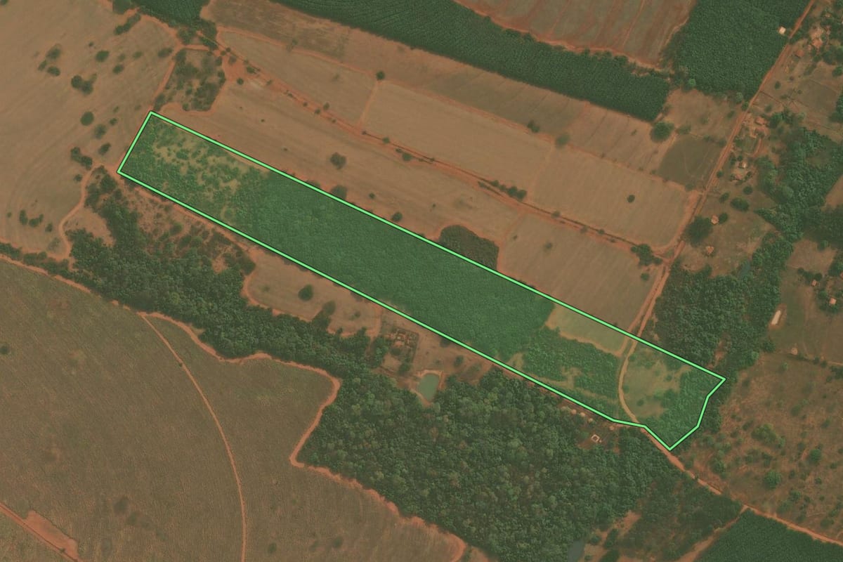 Imagem de satélite do imóvel rural em Bálsamo (SP), com o contorno declarado no CAR desenhado por cima.