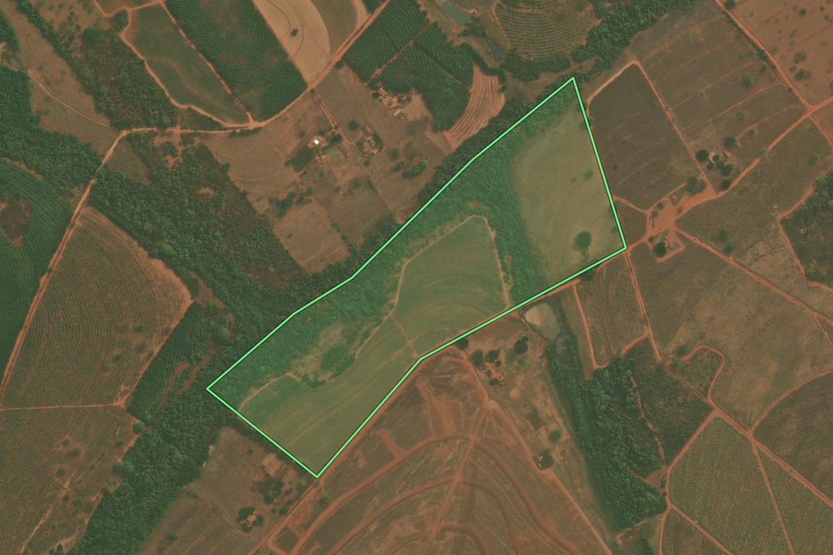 Imagem de satélite do imóvel rural em Bálsamo (SP), com o contorno declarado no CAR desenhado por cima.