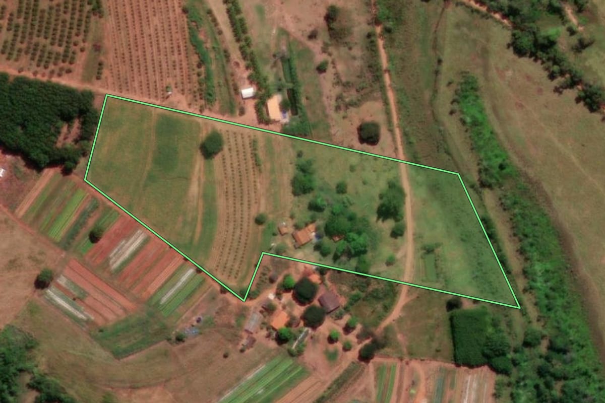 Imagem de satélite do imóvel rural em Bálsamo (SP), com o contorno declarado no CAR desenhado por cima.