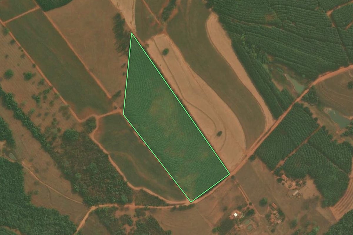 Imagem de satélite do imóvel rural em Bálsamo (SP), com o contorno declarado no CAR desenhado por cima.