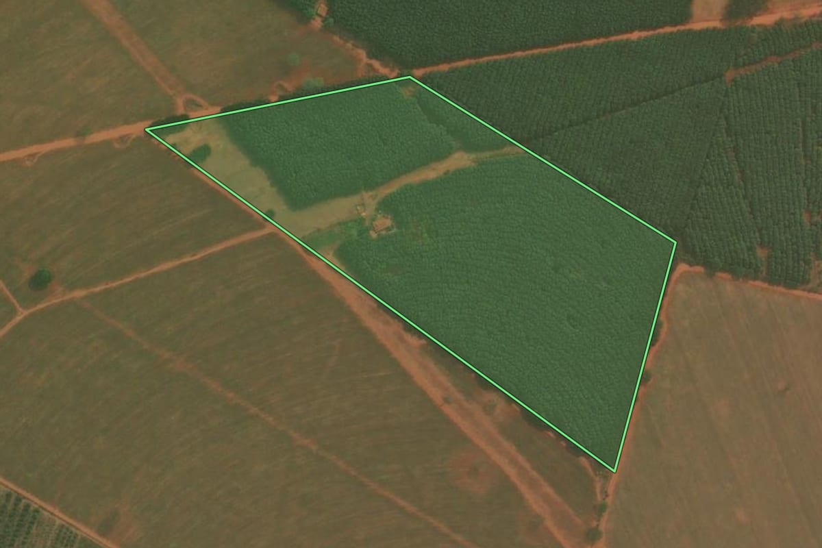 Imagem de satélite do imóvel rural em Bálsamo (SP), com o contorno declarado no CAR desenhado por cima.