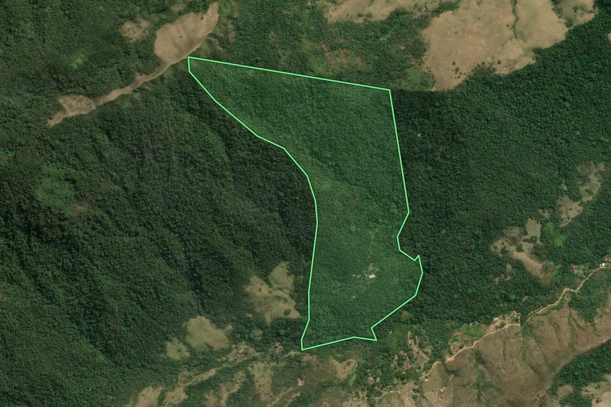 Imagem de satélite do imóvel rural em Bananal (SP), com o contorno declarado no CAR desenhado por cima.