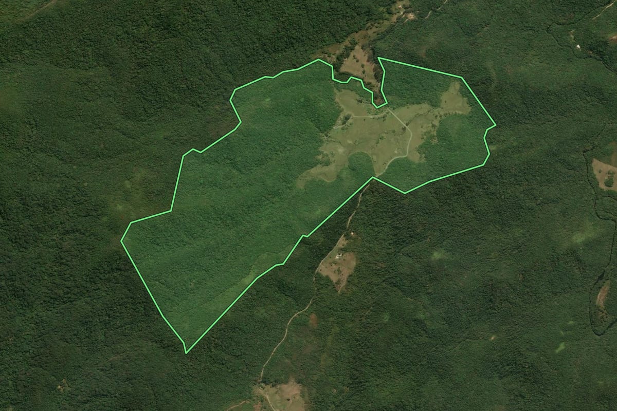 Imagem de satélite do imóvel rural em Bananal (SP), com o contorno declarado no CAR desenhado por cima.