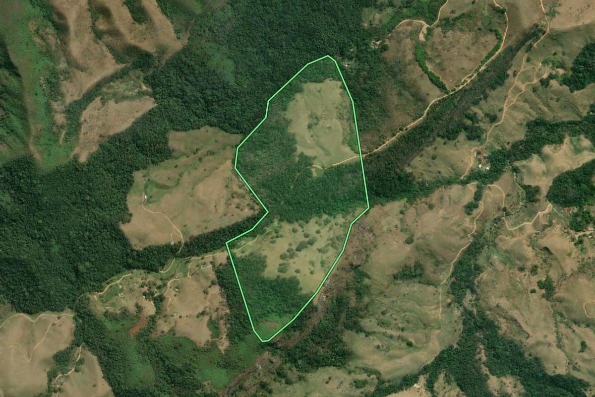 Imagem de satélite do imóvel rural em Bananal (SP), com o contorno declarado no CAR desenhado por cima.