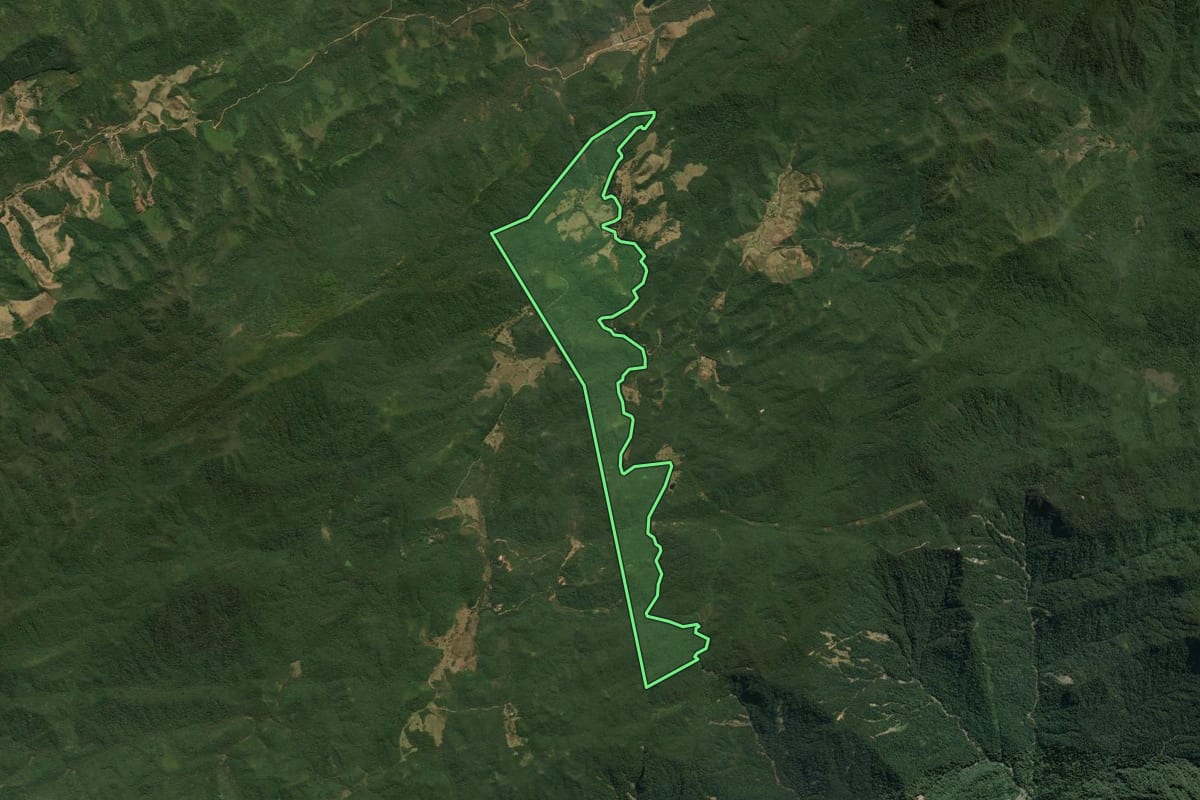 Imagem de satélite do imóvel rural em Bananal (SP), com o contorno declarado no CAR desenhado por cima.
