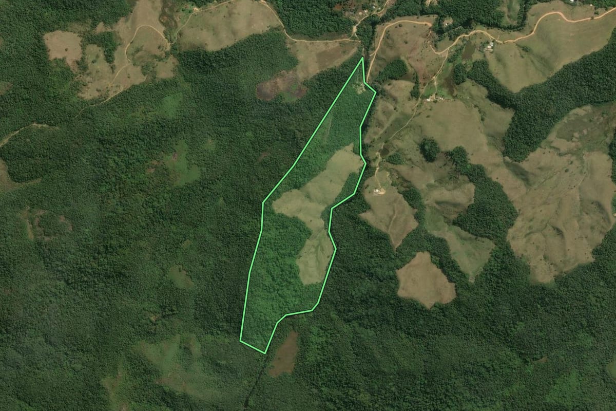 Imagem de satélite do imóvel rural em Bananal (SP), com o contorno declarado no CAR desenhado por cima.