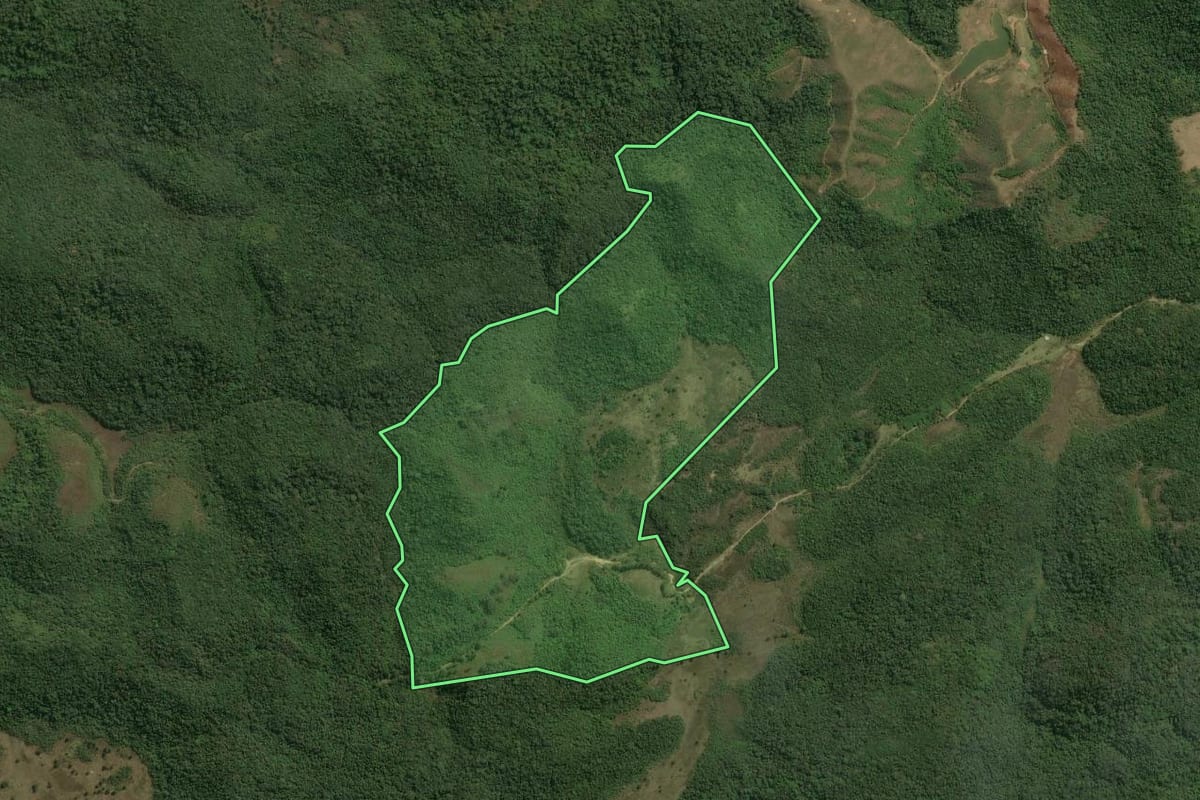 Imagem de satélite do imóvel rural em Bananal (SP), com o contorno declarado no CAR desenhado por cima.