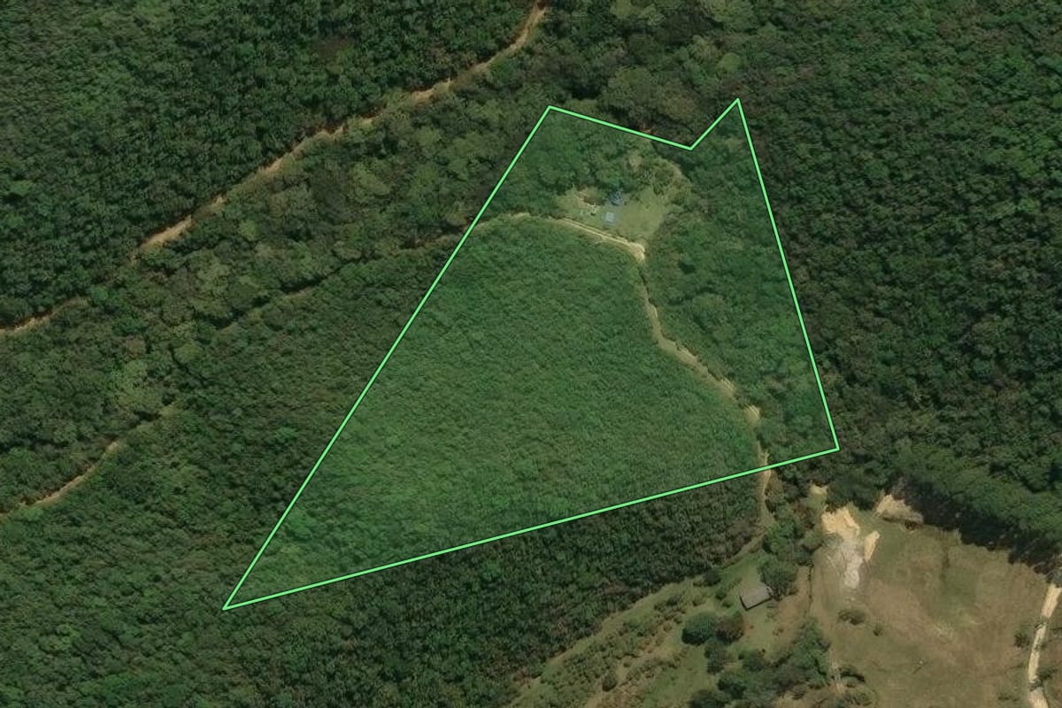 Imagem de satélite do imóvel rural em Bananal (SP), com o contorno declarado no CAR desenhado por cima.