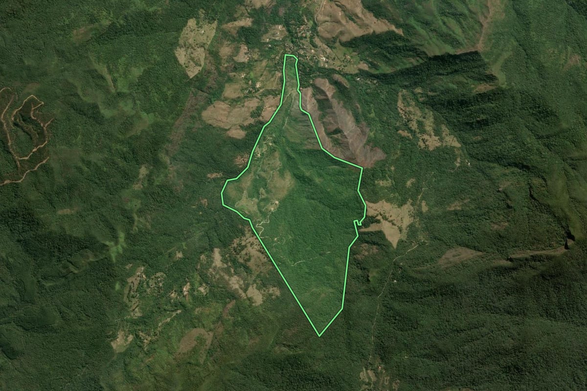Imagem de satélite do imóvel rural em Bananal (SP), com o contorno declarado no CAR desenhado por cima.