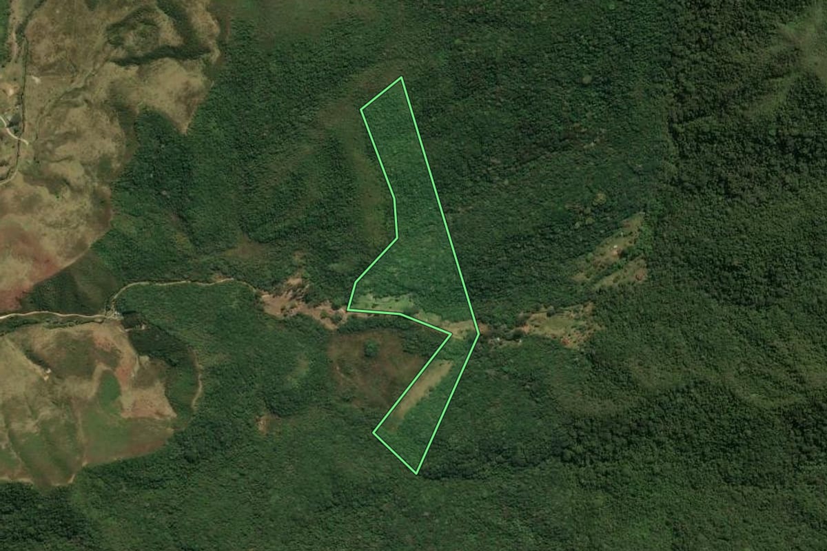 Imagem de satélite do imóvel rural em Bananal (SP), com o contorno declarado no CAR desenhado por cima.