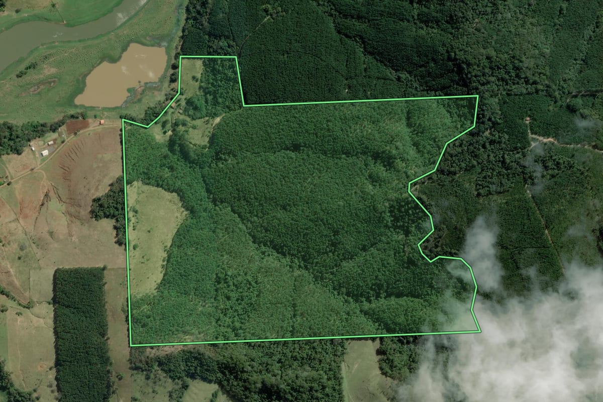 Imagem de satélite do imóvel rural em Barão de Antonina (SP), com o contorno declarado no CAR desenhado por cima.