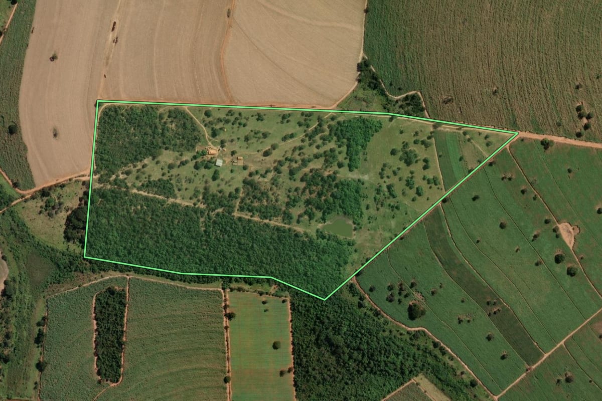 Imagem de satélite do imóvel rural em Barbosa (SP), com o contorno declarado no CAR desenhado por cima.
