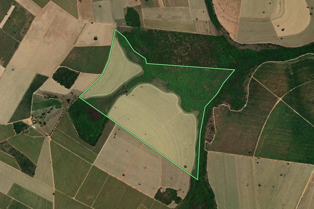 Imagem de satélite do imóvel rural em Barbosa (SP), com o contorno declarado no CAR desenhado por cima.