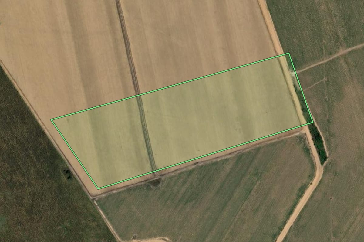 Imagem de satélite do imóvel rural em Barbosa (SP), com o contorno declarado no CAR desenhado por cima.