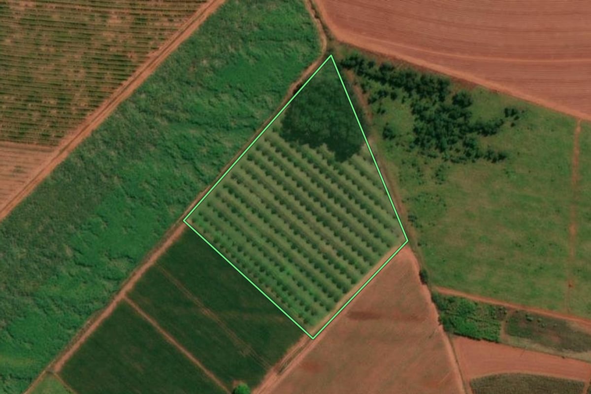 Imagem de satélite do imóvel rural em Bariri (SP), com o contorno declarado no CAR desenhado por cima.