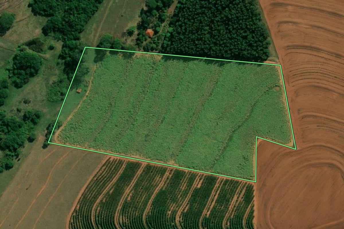 Imagem de satélite do imóvel rural em Bariri (SP), com o contorno declarado no CAR desenhado por cima.