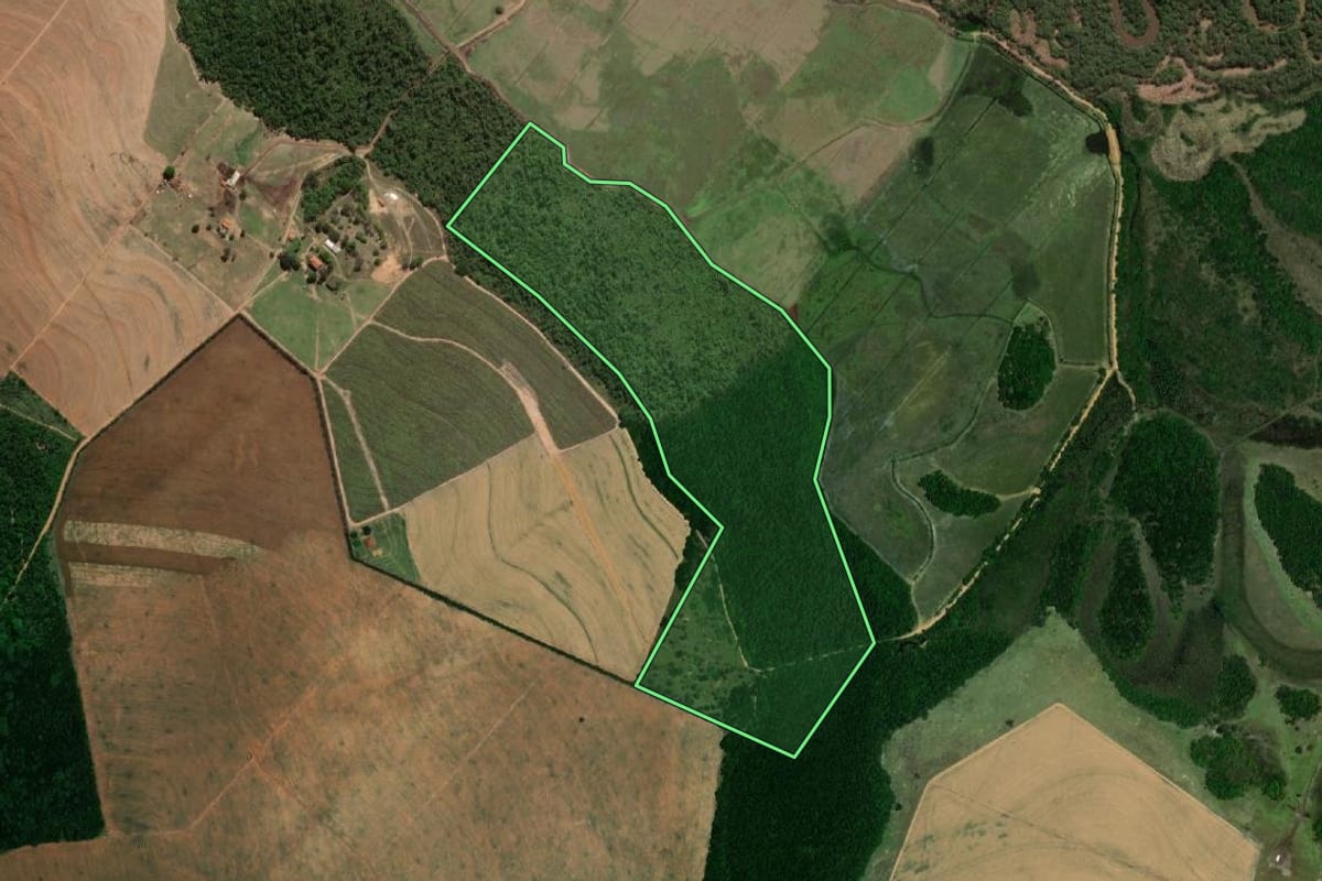 Imagem de satélite do imóvel rural em Bariri (SP), com o contorno declarado no CAR desenhado por cima.