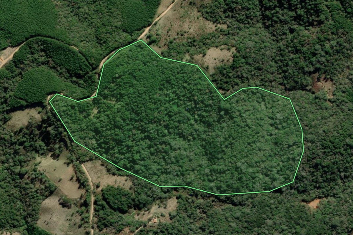Imagem de satélite do imóvel rural em Barra do Chapéu (SP), com o contorno declarado no CAR desenhado por cima.
