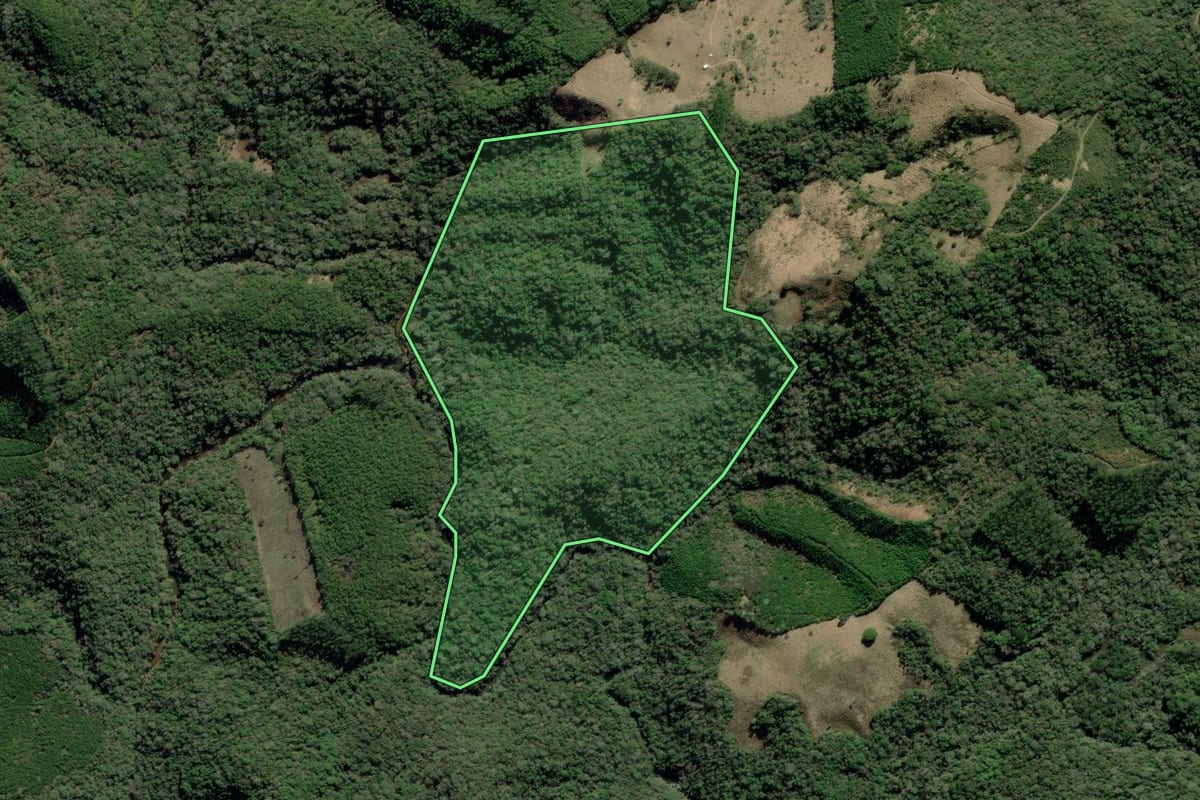 Imagem de satélite do imóvel rural em Barra do Chapéu (SP), com o contorno declarado no CAR desenhado por cima.