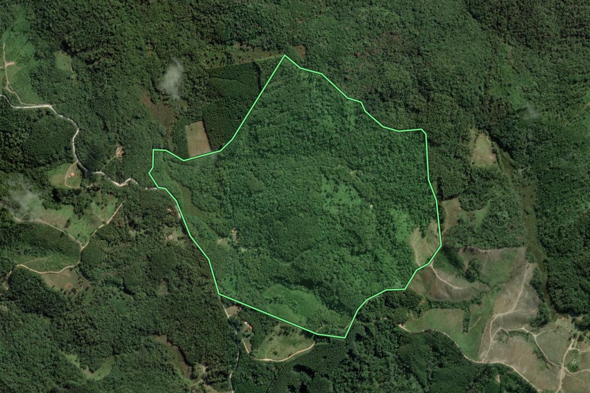 Imagem de satélite do imóvel rural em Barra do Chapéu (SP), com o contorno declarado no CAR desenhado por cima.