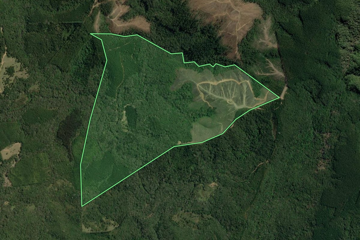 Imagem de satélite do imóvel rural em Barra do Chapéu (SP), com o contorno declarado no CAR desenhado por cima.