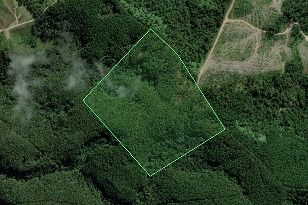 Imagem de satélite do imóvel rural em Barra do Chapéu (SP), com o contorno declarado no CAR desenhado por cima.