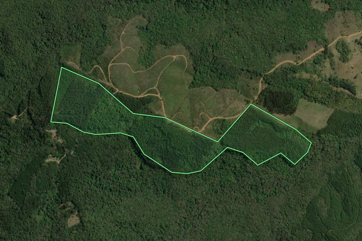 Imagem de satélite do imóvel rural em Barra do Chapéu (SP), com o contorno declarado no CAR desenhado por cima.