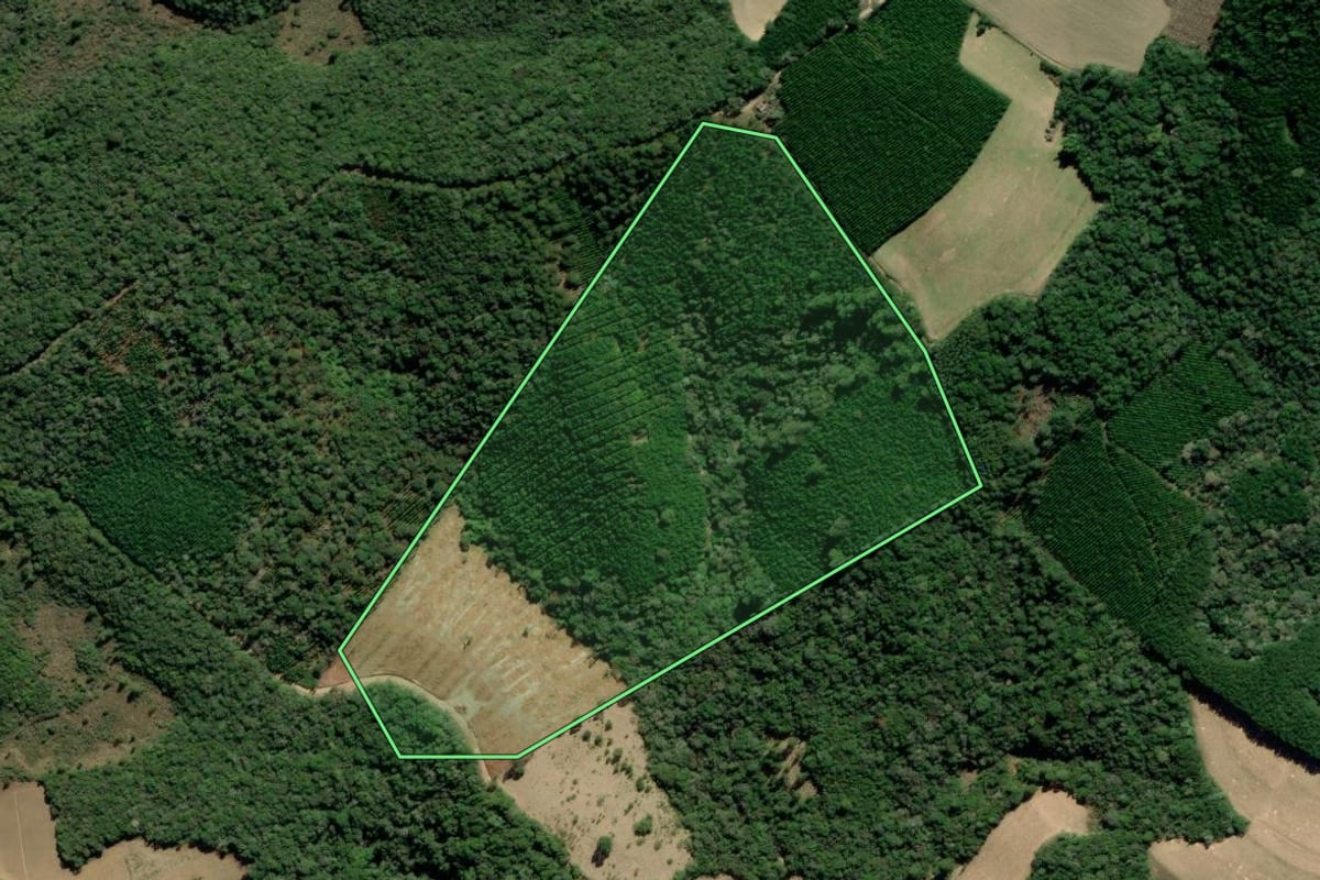 Imagem de satélite do imóvel rural em Barra do Chapéu (SP), com o contorno declarado no CAR desenhado por cima.