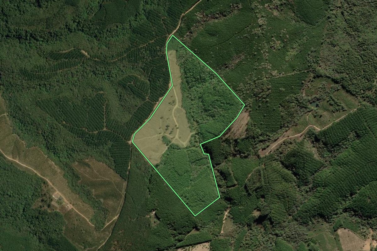 Imagem de satélite do imóvel rural em Barra do Chapéu (SP), com o contorno declarado no CAR desenhado por cima.