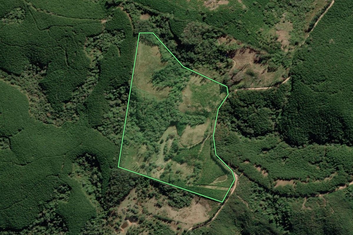Imagem de satélite do imóvel rural em Barra do Chapéu (SP), com o contorno declarado no CAR desenhado por cima.