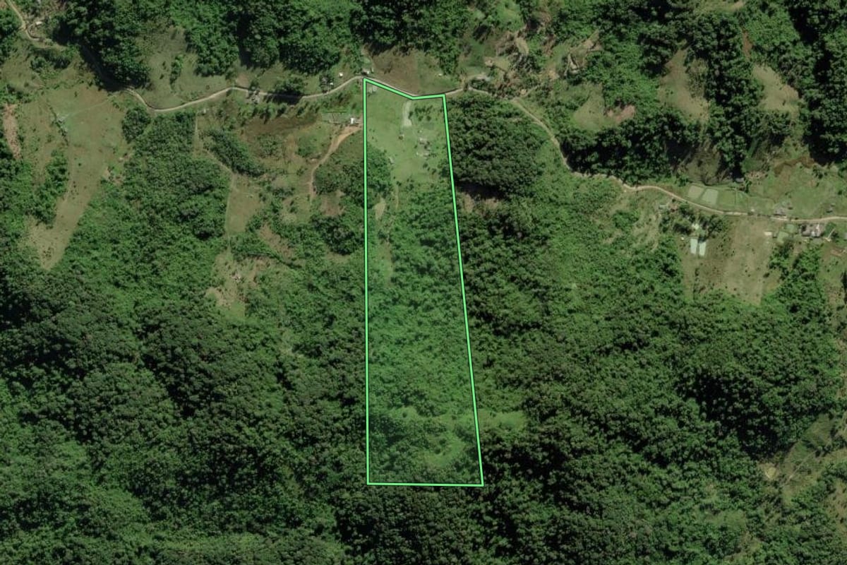 Imagem de satélite do imóvel rural em Barra do Turvo (SP), com o contorno declarado no CAR desenhado por cima.