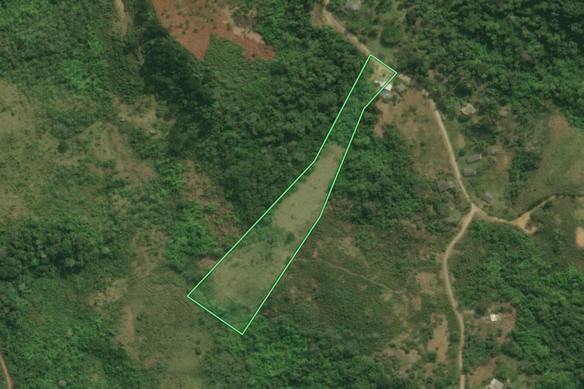 Imagem de satélite do imóvel rural em Barra do Turvo (SP), com o contorno declarado no CAR desenhado por cima.