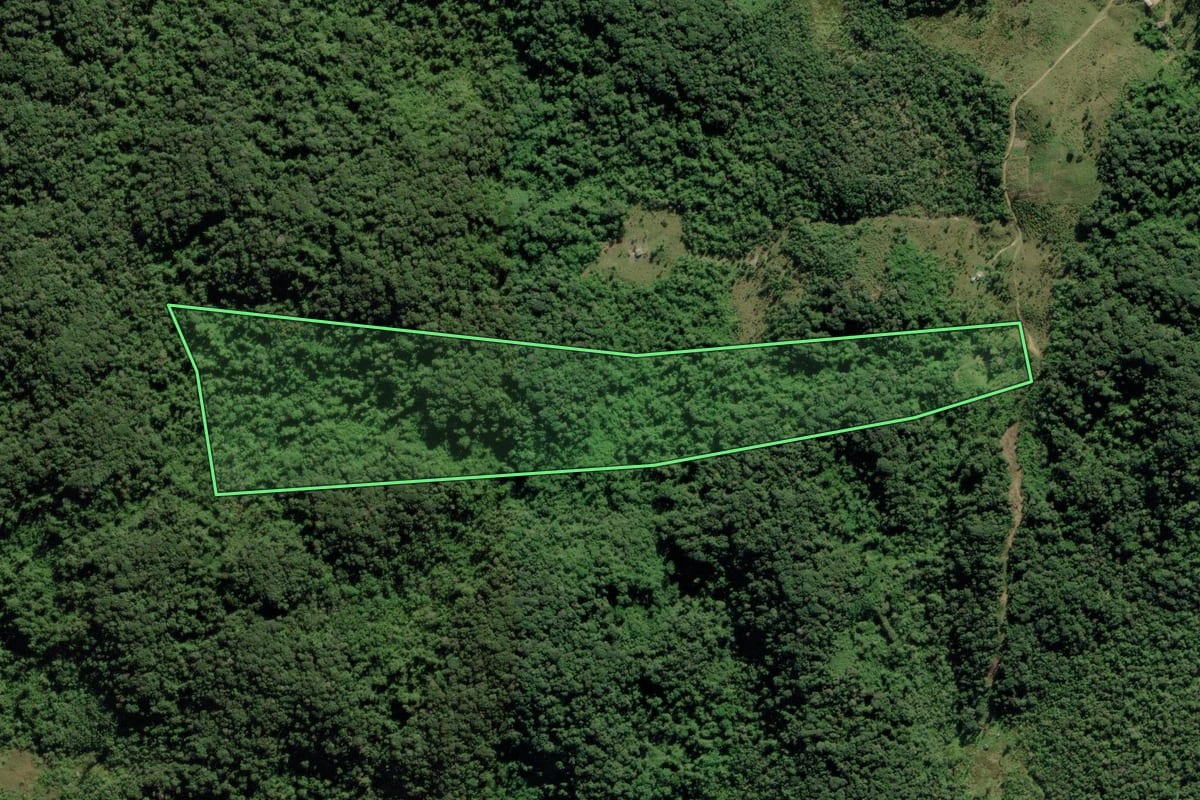 Imagem de satélite do imóvel rural em Barra do Turvo (SP), com o contorno declarado no CAR desenhado por cima.