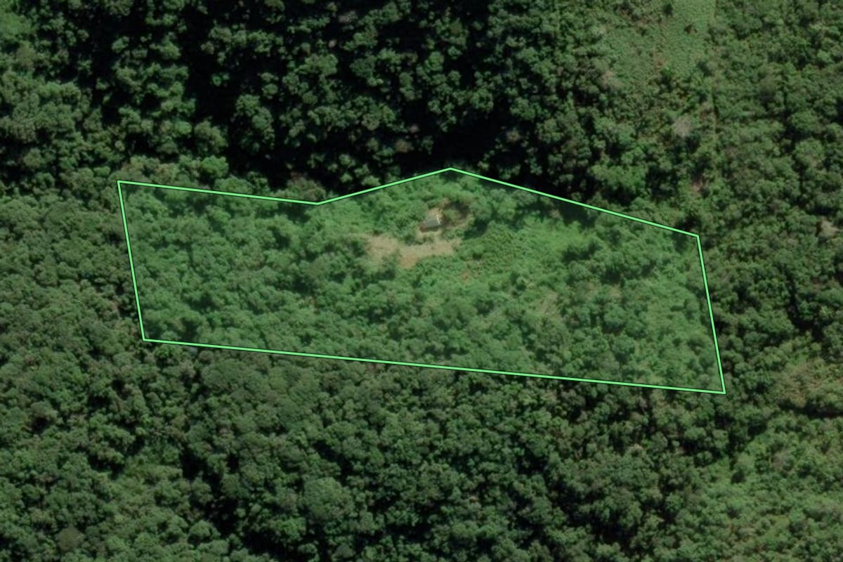 Imagem de satélite do imóvel rural em Barra do Turvo (SP), com o contorno declarado no CAR desenhado por cima.
