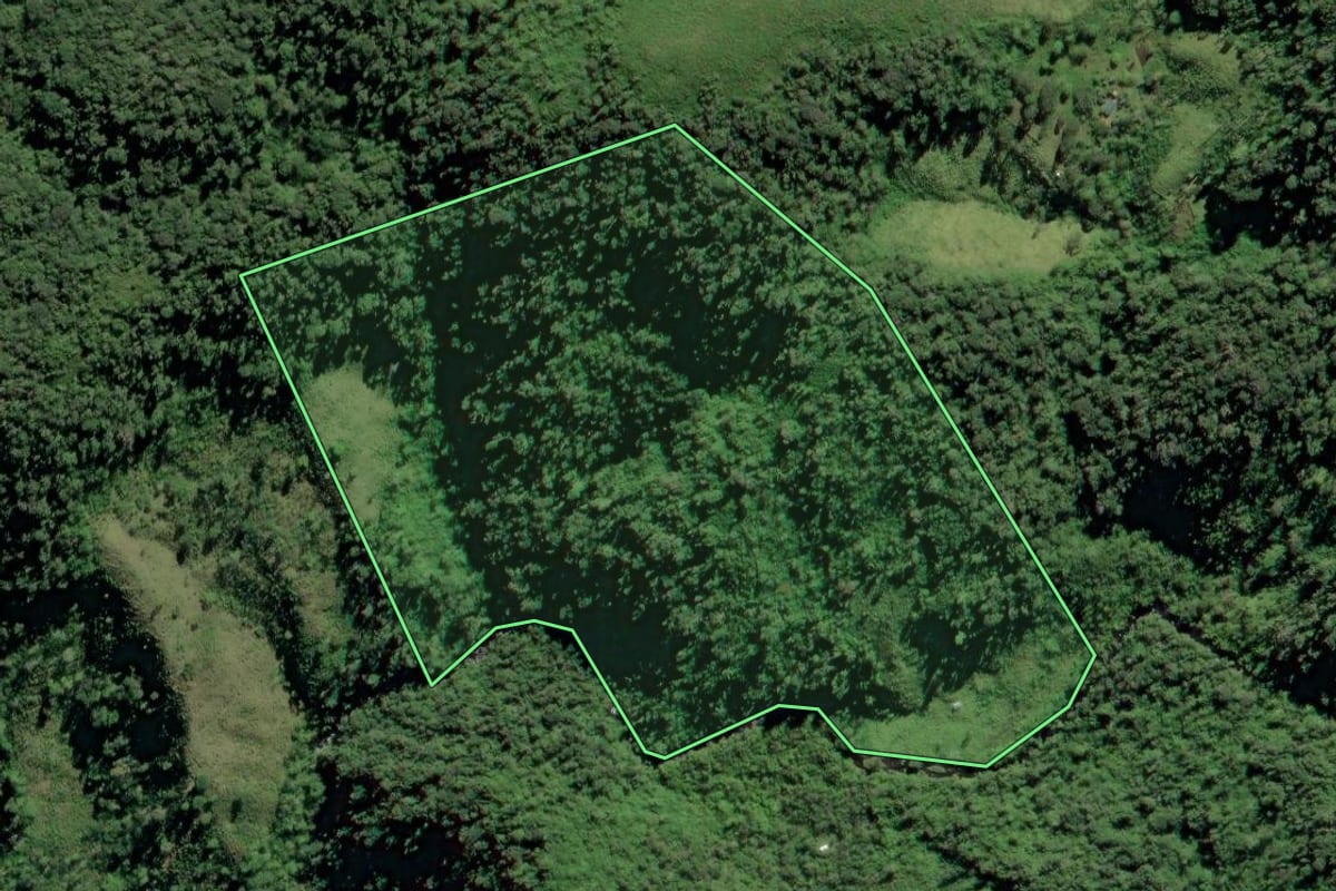 Imagem de satélite do imóvel rural em Barra do Turvo (SP), com o contorno declarado no CAR desenhado por cima.