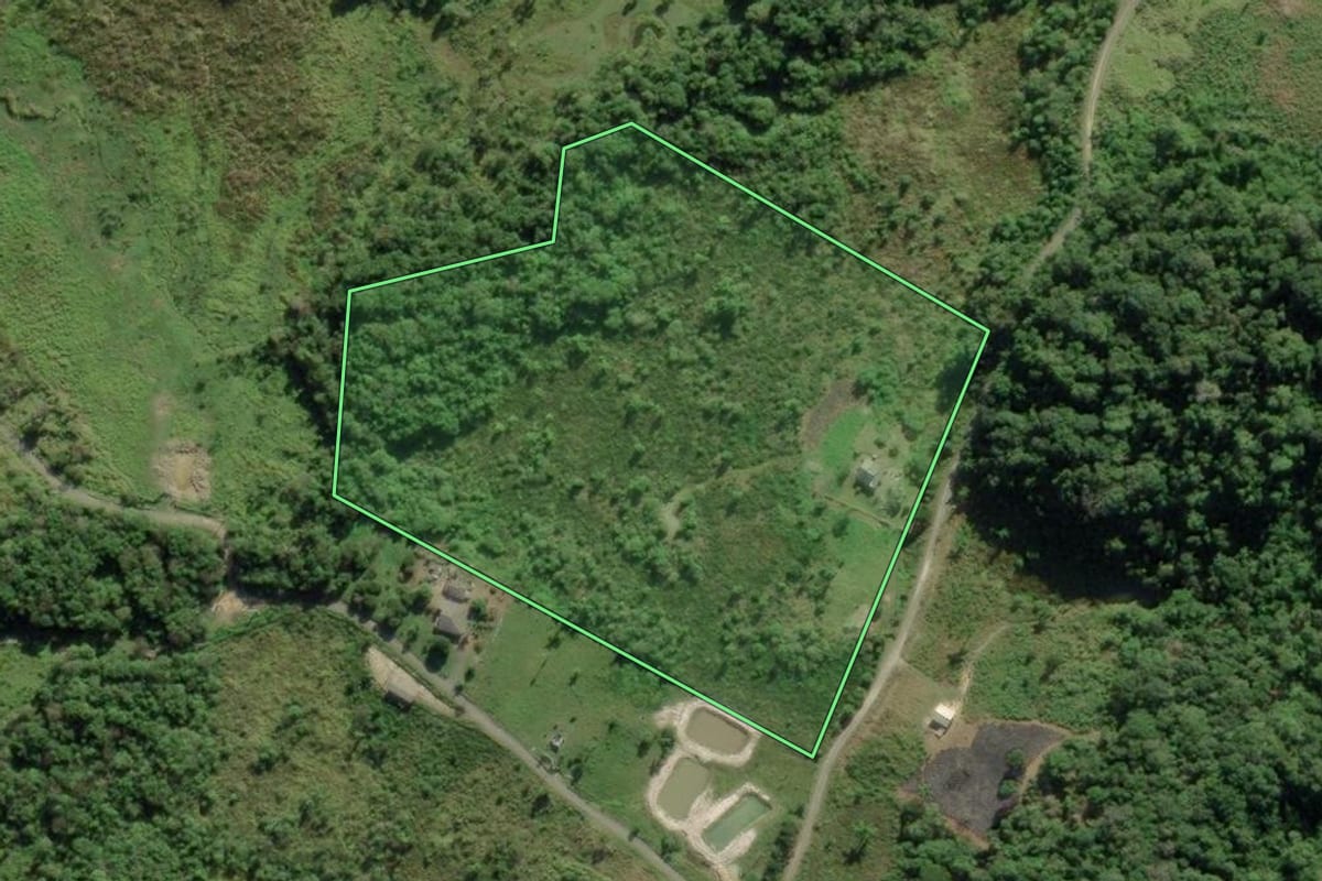 Imagem de satélite do imóvel rural em Barra do Turvo (SP), com o contorno declarado no CAR desenhado por cima.