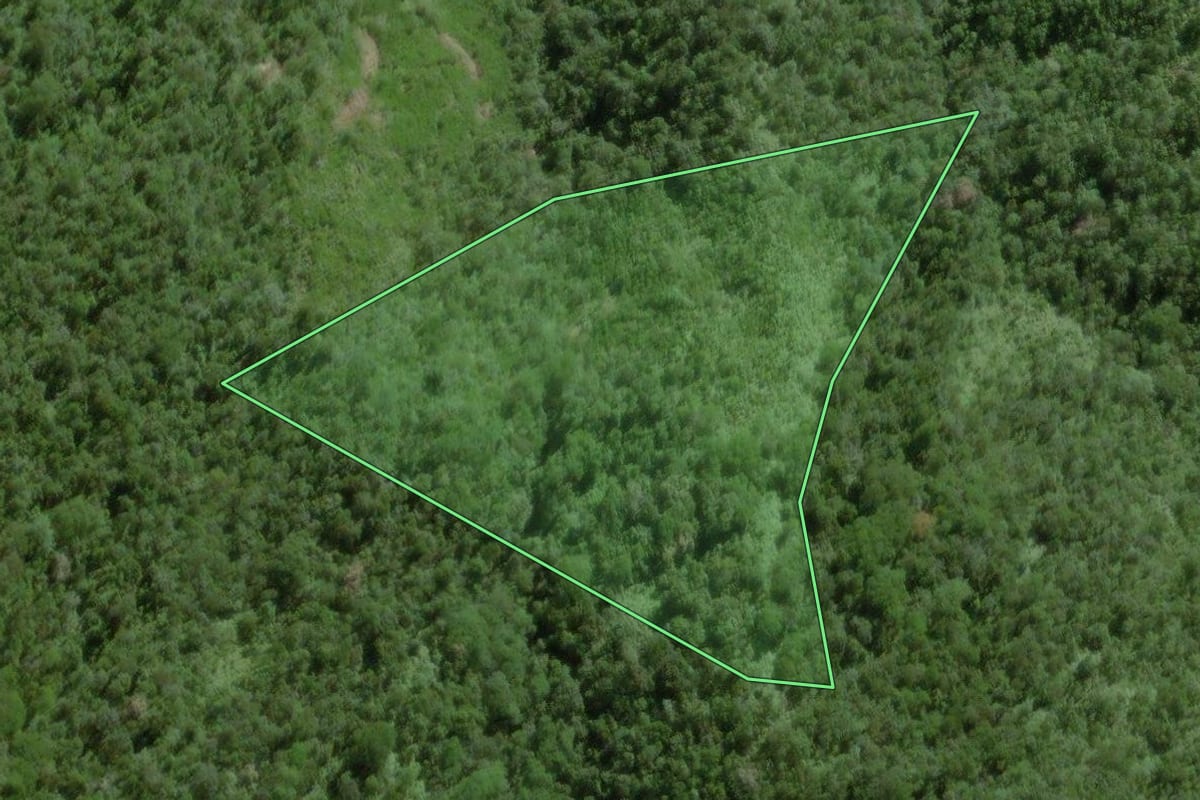 Imagem de satélite do imóvel rural em Barra do Turvo (SP), com o contorno declarado no CAR desenhado por cima.