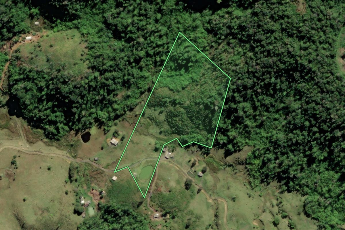 Imagem de satélite do imóvel rural em Barra do Turvo (SP), com o contorno declarado no CAR desenhado por cima.